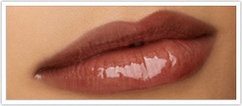   Gloss on Stylebust    Buxom Lips For Pout Plumping Perfection