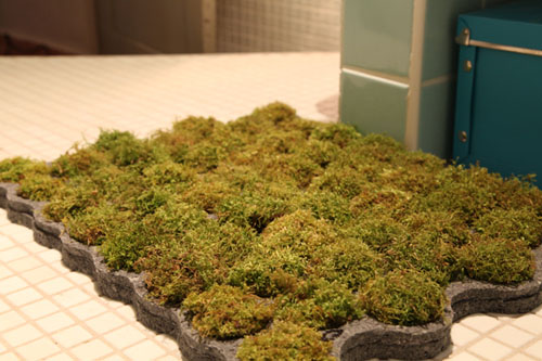 moss rug